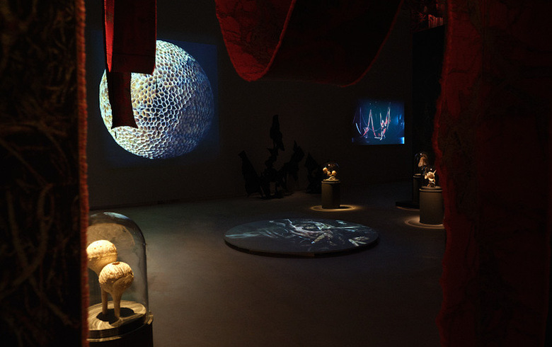 GROWTH / DECAY – från frö till förfall på Västerås Konstmuseum