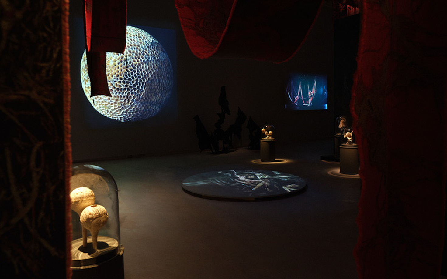 GROWTH / DECAY – från frö till förfall på Västerås Konstmuseum