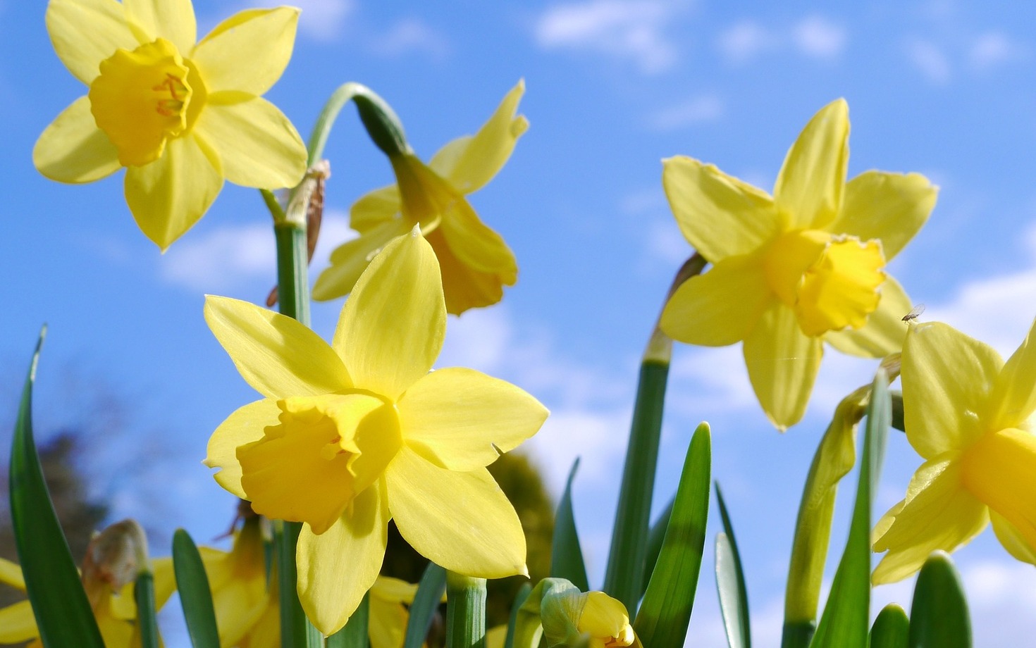 Glad påsk!